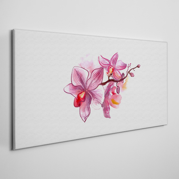 Obraz na Płótnie Różowe orchidee na tle bieli