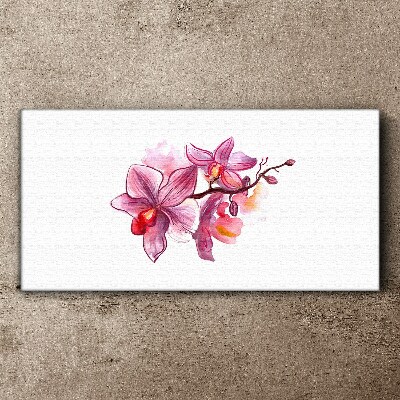 Obraz na Płótnie Różowe orchidee na tle bieli