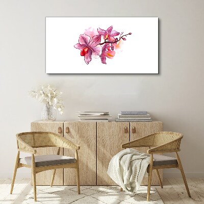 Obraz na Płótnie Różowe orchidee na tle bieli