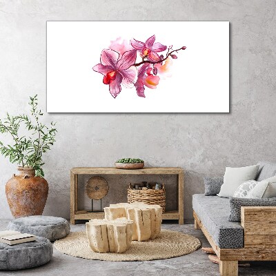 Obraz na Płótnie Różowe orchidee na tle bieli