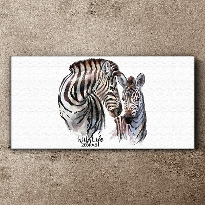 Obraz na Płótnie Zebra w dzikiej naturze