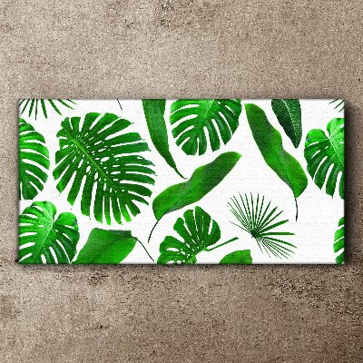 Obraz Canvas Tropikalna zieleń w liściach