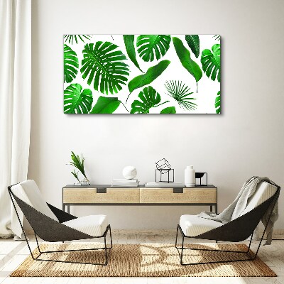 Obraz Canvas Tropikalna zieleń w liściach