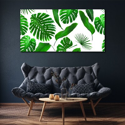 Obraz Canvas Tropikalna zieleń w liściach