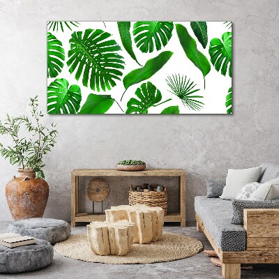 Obraz Canvas Tropikalna zieleń w liściach
