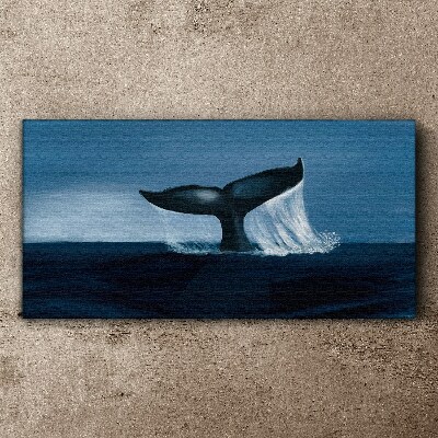 Obraz na Płótnie Zwierzę morze wieloryb