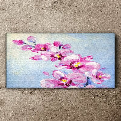 Obraz na Płótnie Różowe orchidee na niebieskim tle
