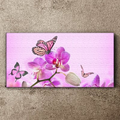 Obraz Canvas Kwiaty Natura Motyl