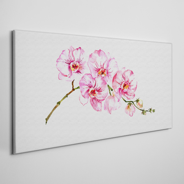 Obraz Canvas Różowe orchidee na białym tle