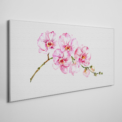 Obraz Canvas Różowe orchidee na białym tle