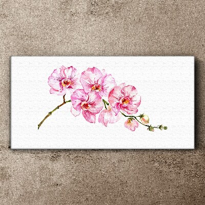Obraz Canvas Różowe orchidee na białym tle