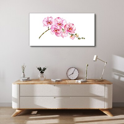 Obraz Canvas Różowe orchidee na białym tle