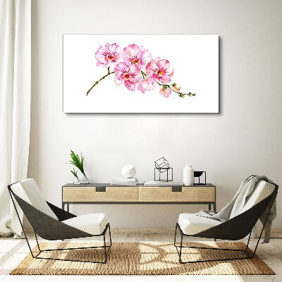 Obraz Canvas Różowe orchidee na białym tle