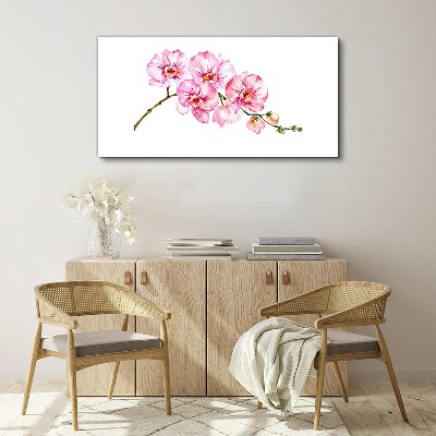 Obraz Canvas Różowe orchidee na białym tle