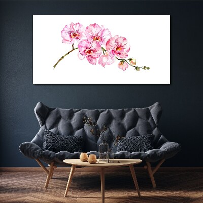 Obraz Canvas Różowe orchidee na białym tle
