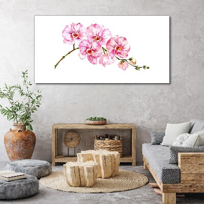 Obraz Canvas Różowe orchidee na białym tle