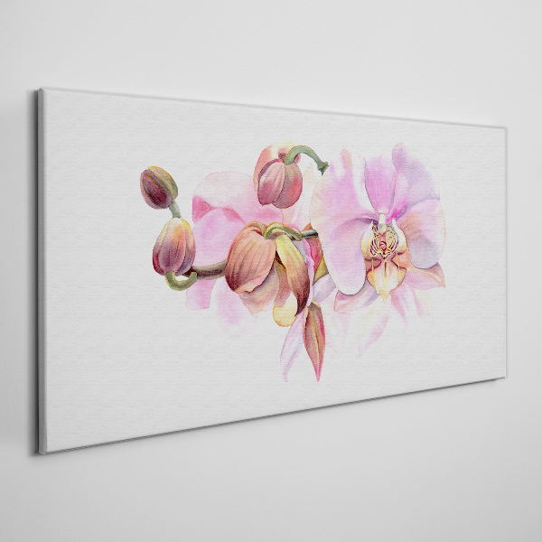 Obraz Canvas Orchidea w pastelowych odcieniach