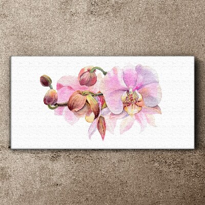 Obraz Canvas Orchidea w pastelowych odcieniach
