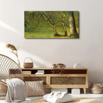 Obraz Canvas Zielony las w świetle słońca