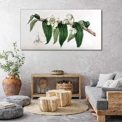 Obraz Canvas Rysunek kwiat gałąź orchidea