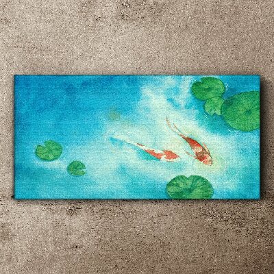 Obraz Canvas Koi w błękitnej wodzie