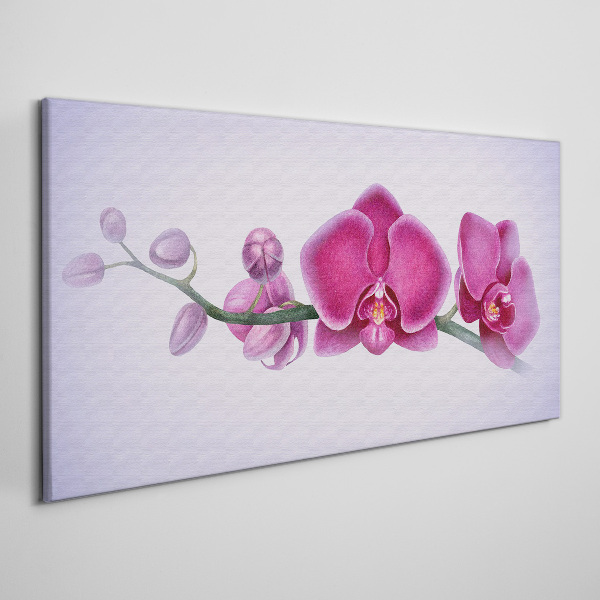 Obraz na Płótnie Orchidee w delikatnych odcieniach różu