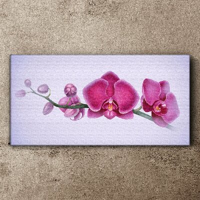 Obraz na Płótnie Orchidee w delikatnych odcieniach różu