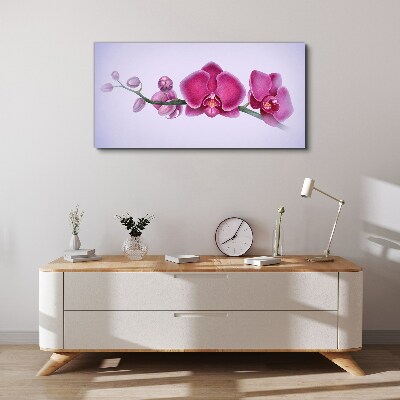 Obraz na Płótnie Orchidee w delikatnych odcieniach różu