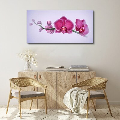 Obraz na Płótnie Akwarela kwiat gałąź orchidea