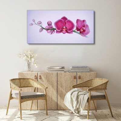 Obraz na Płótnie Orchidee w delikatnych odcieniach różu