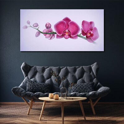 Obraz na Płótnie Orchidee w delikatnych odcieniach różu