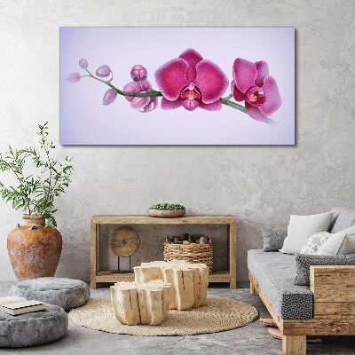 Obraz na Płótnie Akwarela kwiat gałąź orchidea