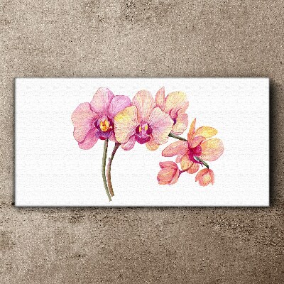 Obraz Canvas Kwiatowe piękno orchidei