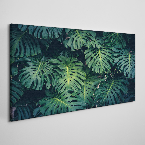 Obraz na Płótnie Tropikalna zieleń w liściach monstera