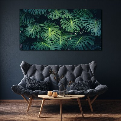 Obraz na Płótnie Tropikalna zieleń w liściach monstera