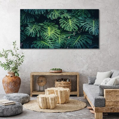 Obraz na Płótnie Tropikalna zieleń w liściach monstera
