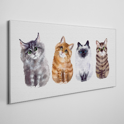 Obraz Canvas Koty w różnych odcieniach