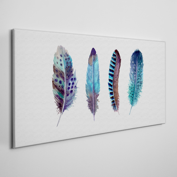 Obraz Canvas Kolorowe Pióra na Białym Tle