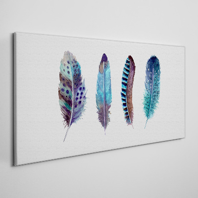 Obraz Canvas Kolorowe Pióra na Białym Tle