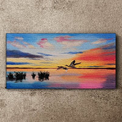 Obraz na Płótnie jezioro ptaki zachód słońca