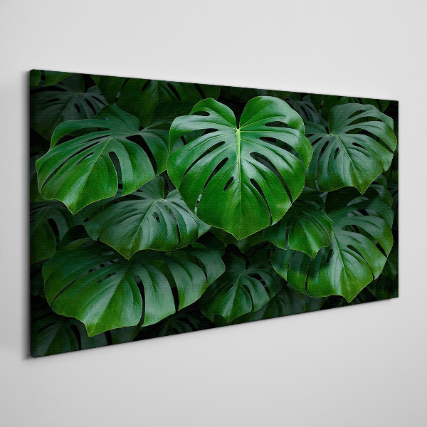 Obraz Canvas Zielona symfonia liści monstera