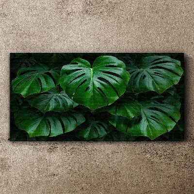Obraz Canvas Zielona symfonia liści monstera
