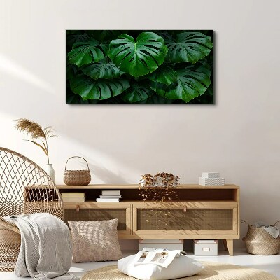 Obraz Canvas Zielona symfonia liści monstera