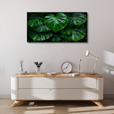 Obraz Canvas Zielona symfonia liści monstera