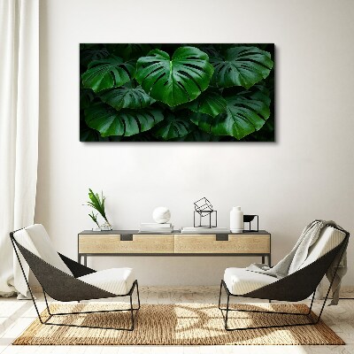 Obraz Canvas Zielona symfonia liści monstera