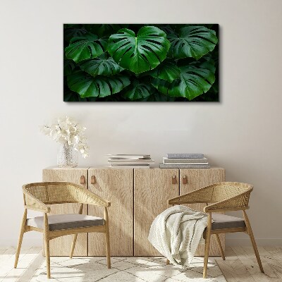 Obraz Canvas Zielona symfonia liści monstera