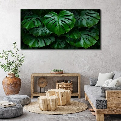 Obraz Canvas Zielona symfonia liści monstera