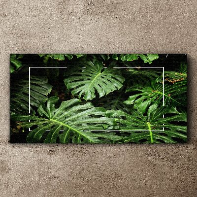 Obraz Canvas Zielona dżungla