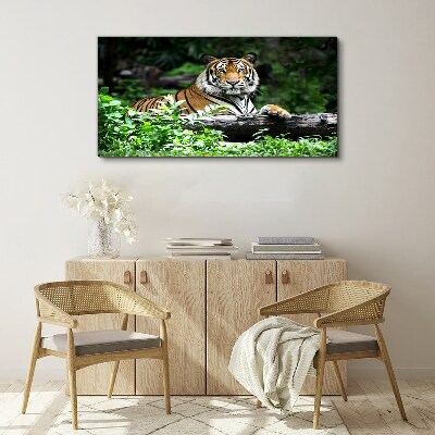 Obraz na Płótnie las zwierzę kot tygrys