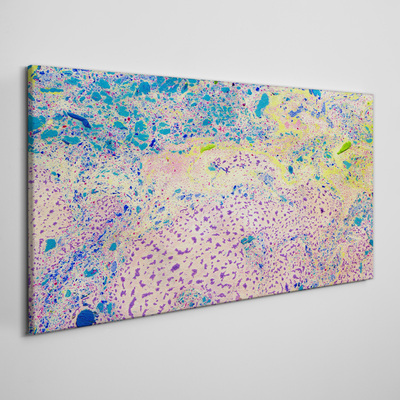 Obraz Canvas Kolorowy chaos abstrakcji
